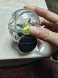 Rolling Garlic Chopper – Minced in 5 Seconds, No Smelly Fingers